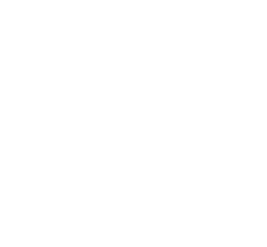 Gia Lai Electricity